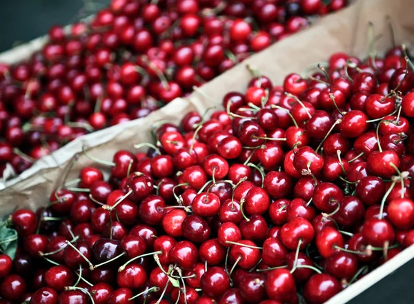 stock image Juicefull cherries