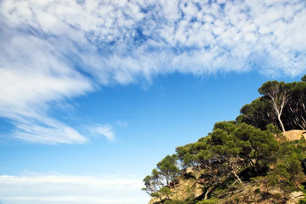 Blue sky above a hill — Stock Photo, Image
