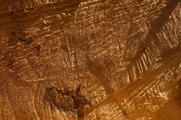 Secção transversal do tronco de árvore — Fotografia de Stock