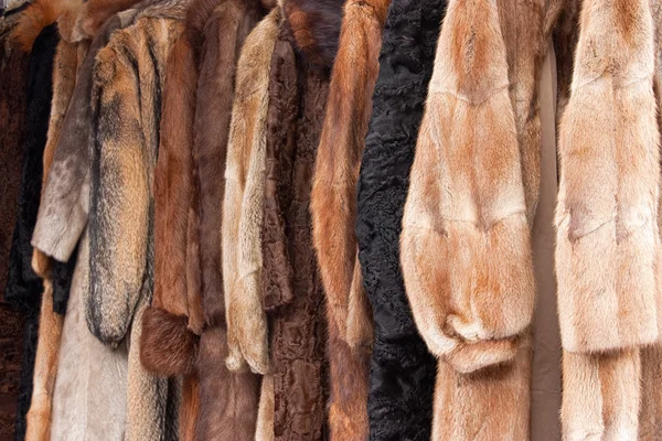 Casacos de peles de animais — Fotografia de Stock