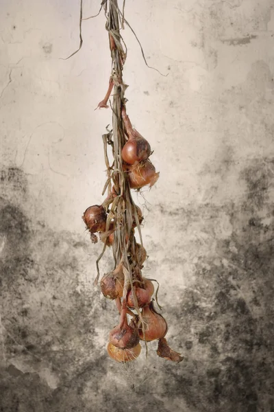 Heap of onions — Stock Photo, Image