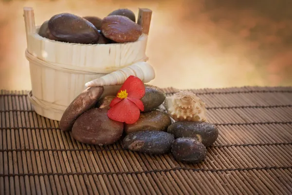 Establecimiento de spa con piedras y conchas — Foto de Stock