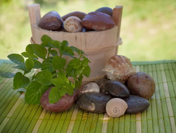 Wellness instelling met stenen en schelpen — Stockfoto
