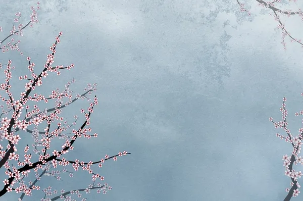 Ornamental cherry tree; rough background — Stock Photo, Image