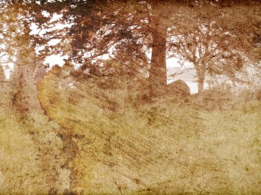 doku vintage yatay, ağaçlar