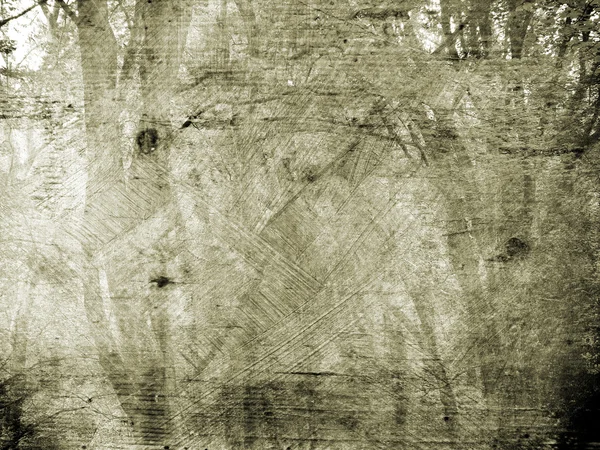 Hintergrund Textur mit Waldlandschaft — Stockfoto