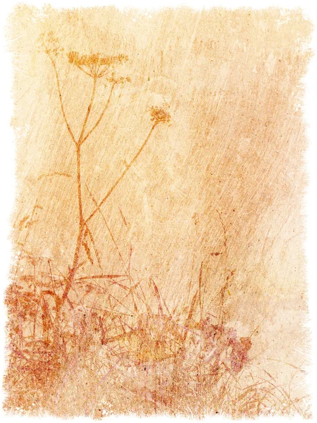Винтажный текстурированный цветочный задник — стоковое фото