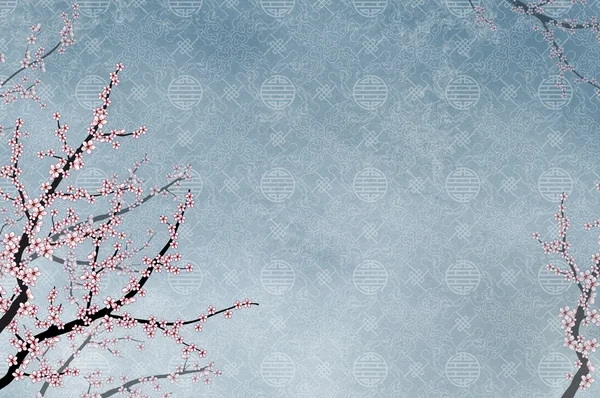 Dekoratif kiraz ağacı, Çin desen — Stok fotoğraf