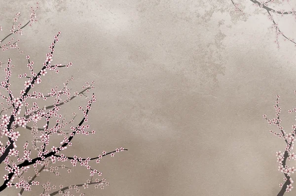 Cerisier ornemental ; arrière-plan rugueux — Photo