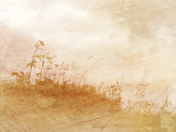 花とビンテージ背景テクスチャ — ストック写真