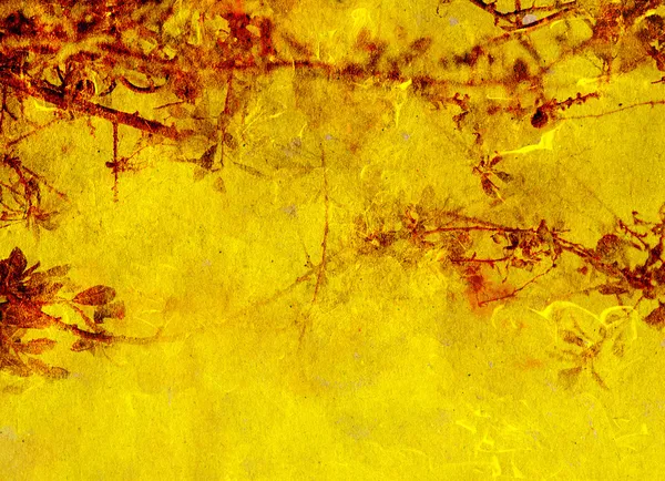 Fundo amarelo, vermelho, textura vegetal — Fotografia de Stock