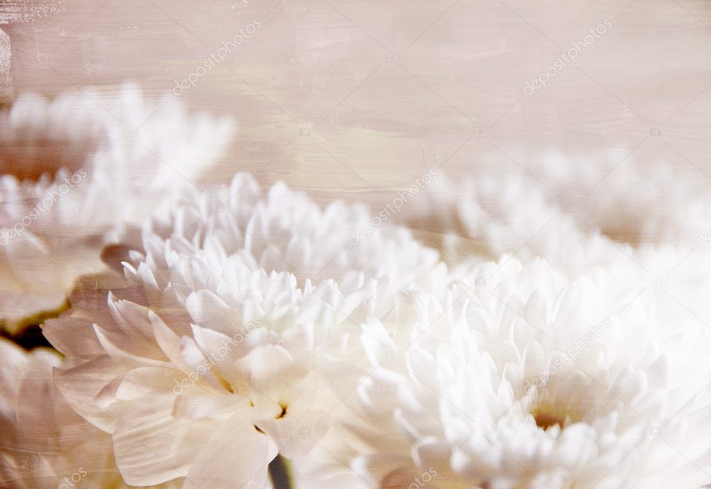 Decorative textured white chrysanthemums