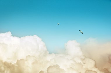 White clouds, blue sky, two birds, nice picture, nice weather with bright clipart