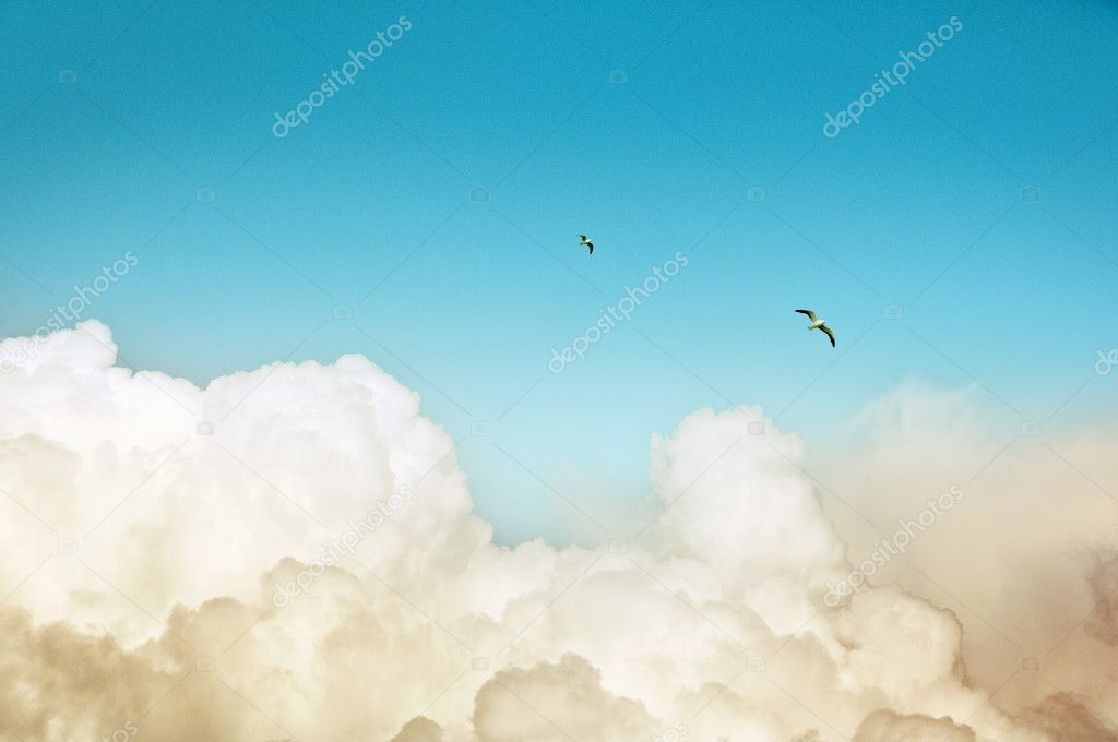 White clouds, blue sky, two birds, nice picture, nice weather with bright