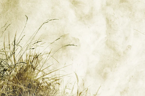 Текстурированный фон с травами и место для текста или изображения - скрапбукинг — стоковое фото
