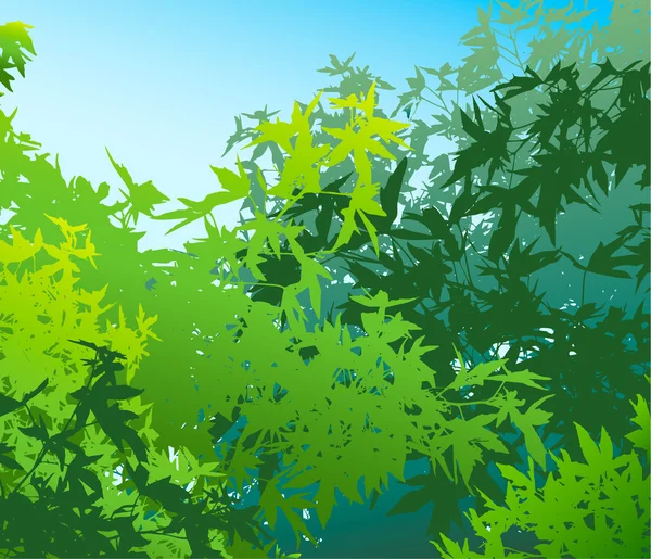 Renkli yatay yaz yeşillik şekil — Stok fotoğraf