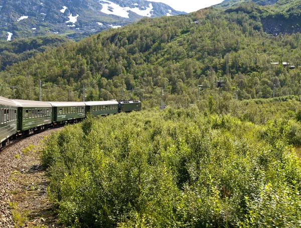 Kolejowego Flåm — Zdjęcie stockowe