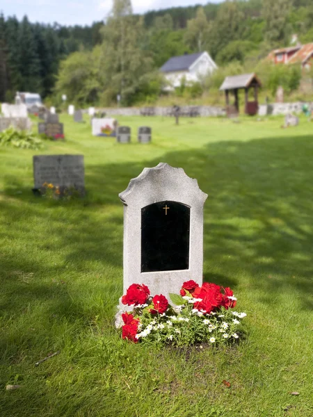 Tomba in Norvegia — Foto Stock