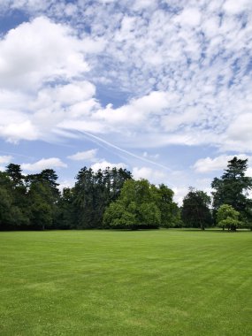 amboise Kalesi bahçeleri