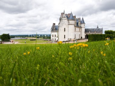 Amboise Castle in Loire Valley clipart