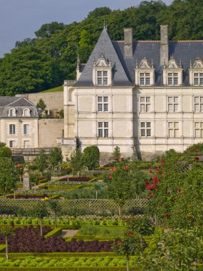 Amboise Castle in Loire Valley clipart