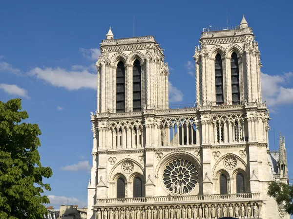 Majestic Notre Dame — Stock Photo, Image