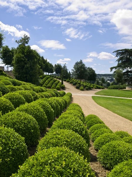 Os Jardins do Castelo de Amboise — Fotografia de Stock