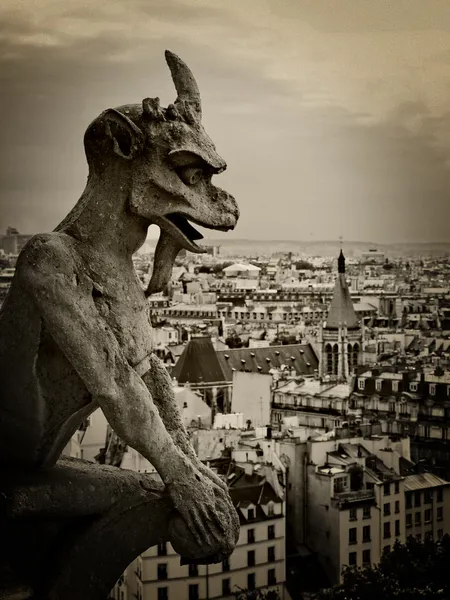 Gargulec z Notre Dame — Zdjęcie stockowe