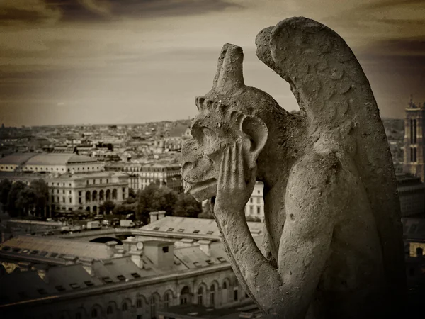 Notre Dame vízköpője — Stock Fotó