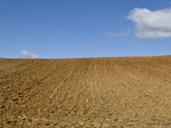 Засушливое поле — стоковое фото