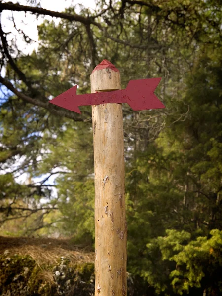 Röd pil tecken i skogen — Stockfoto