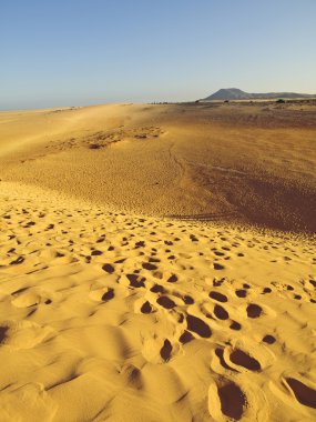 Fuerteventura tepeleri