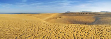 Dunes Panorama in Fuerteventura clipart