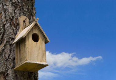 Bird house clipart