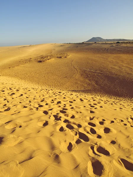 Dune di Fuerteventura — Foto Stock
