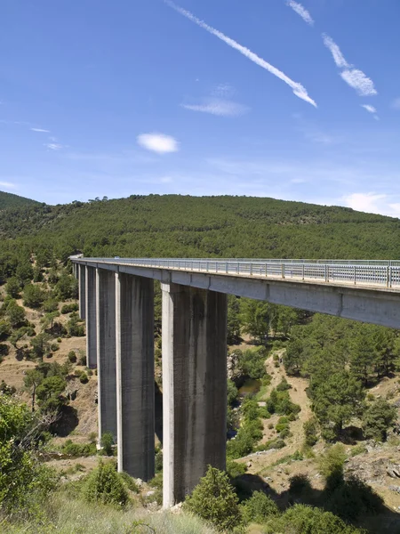Most nad rzeką cofio-parra — Zdjęcie stockowe