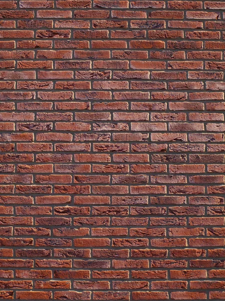 Brick Wall background — Stock Photo, Image
