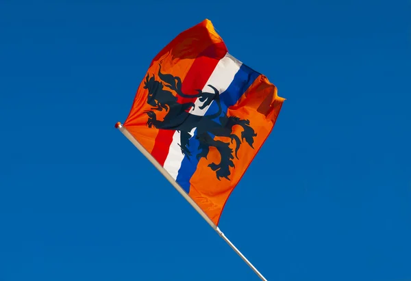 Turuncu Hollanda bayrağı — Stok fotoğraf