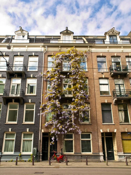 Typisch Amsterdamse architectuur — Stockfoto