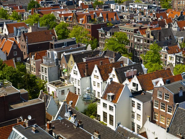 Amsterdam ensolarado — Fotografia de Stock