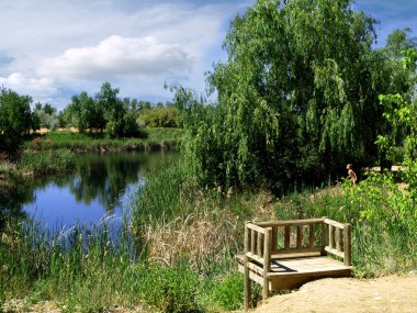 Fishing point in a small lake clipart