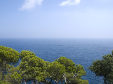 ağaçlar ve deniz