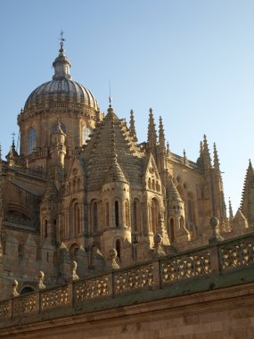 Salamanca's Cathedral clipart