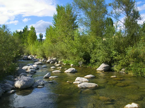 stock image Small River