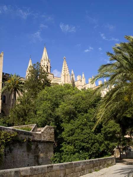 Cathédrale de Majorque — Photo