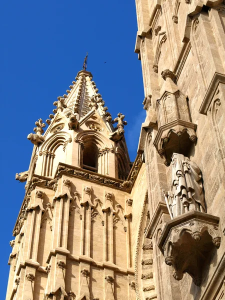 Mallorca'nın Katedrali — Stok fotoğraf