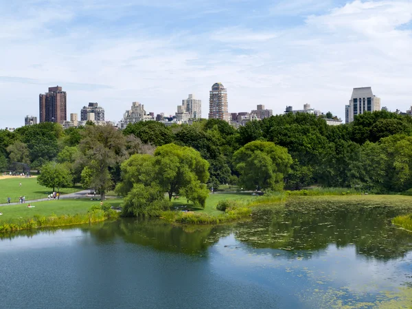 Manhattan east Central Parku i górnej — Zdjęcie stockowe