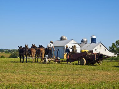 Amish Farmers, Lancaster USA clipart