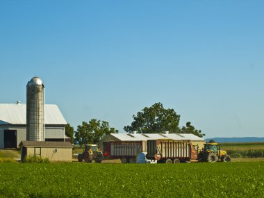 Amish Farm, Lancaster USA clipart