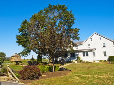 Amish farm, lancaster ABD